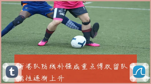 海港队防线补强成重点傅欢留队可能性逐渐上升