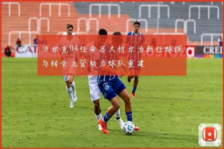 沙尔克04任命吕夫特尔为新任球探与转会主管助力球队重建