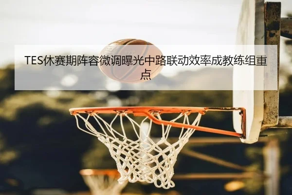 TES休赛期阵容微调曝光中路联动效率成教练组重点 | hth
